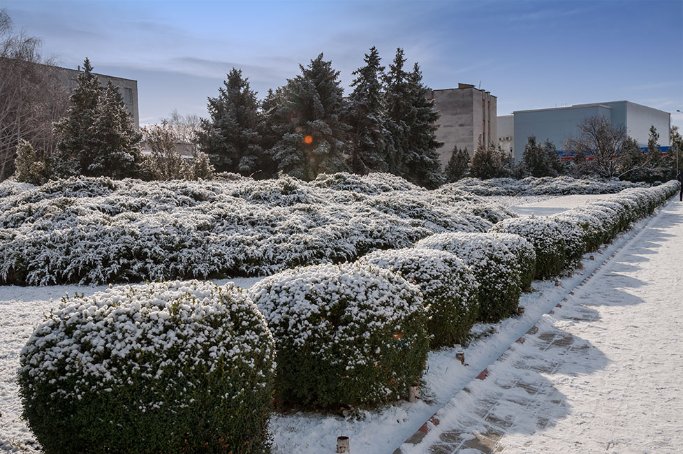 Первый снег в Приднестровье