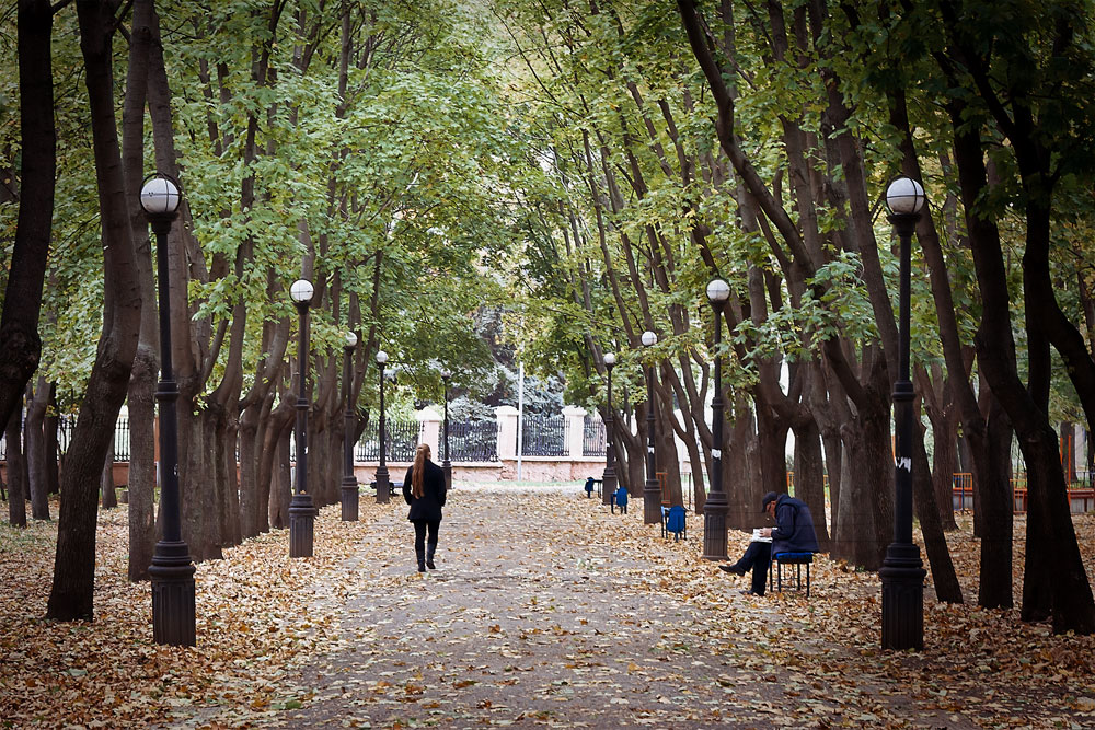 Осенние листья в городском парке Тирасполя